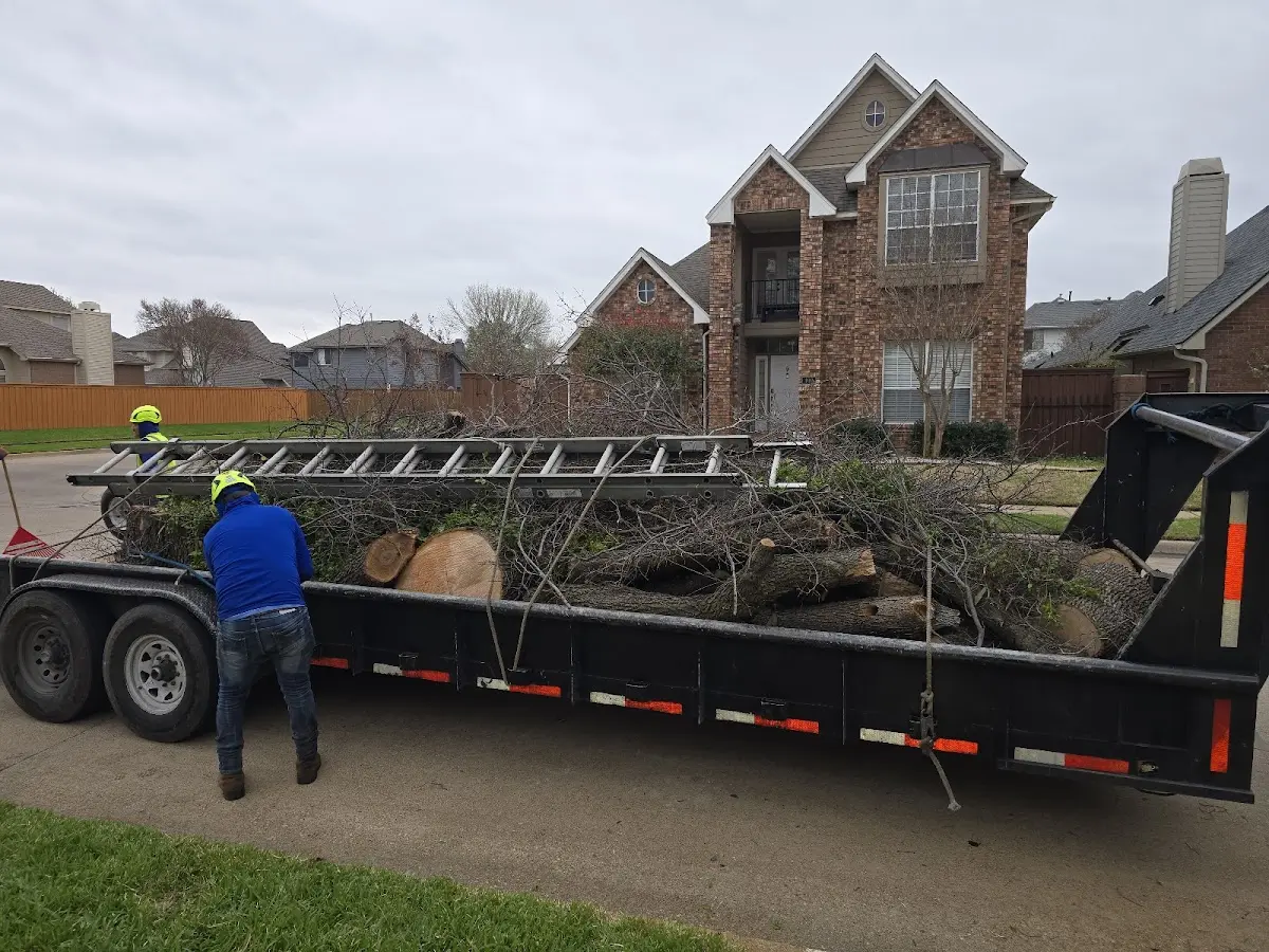 Expert Tree Fertilization with proper safety equipment in Berthold